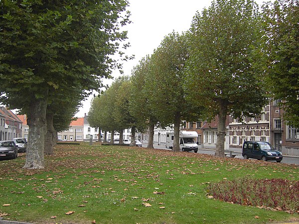 Rommelmarkt Ename